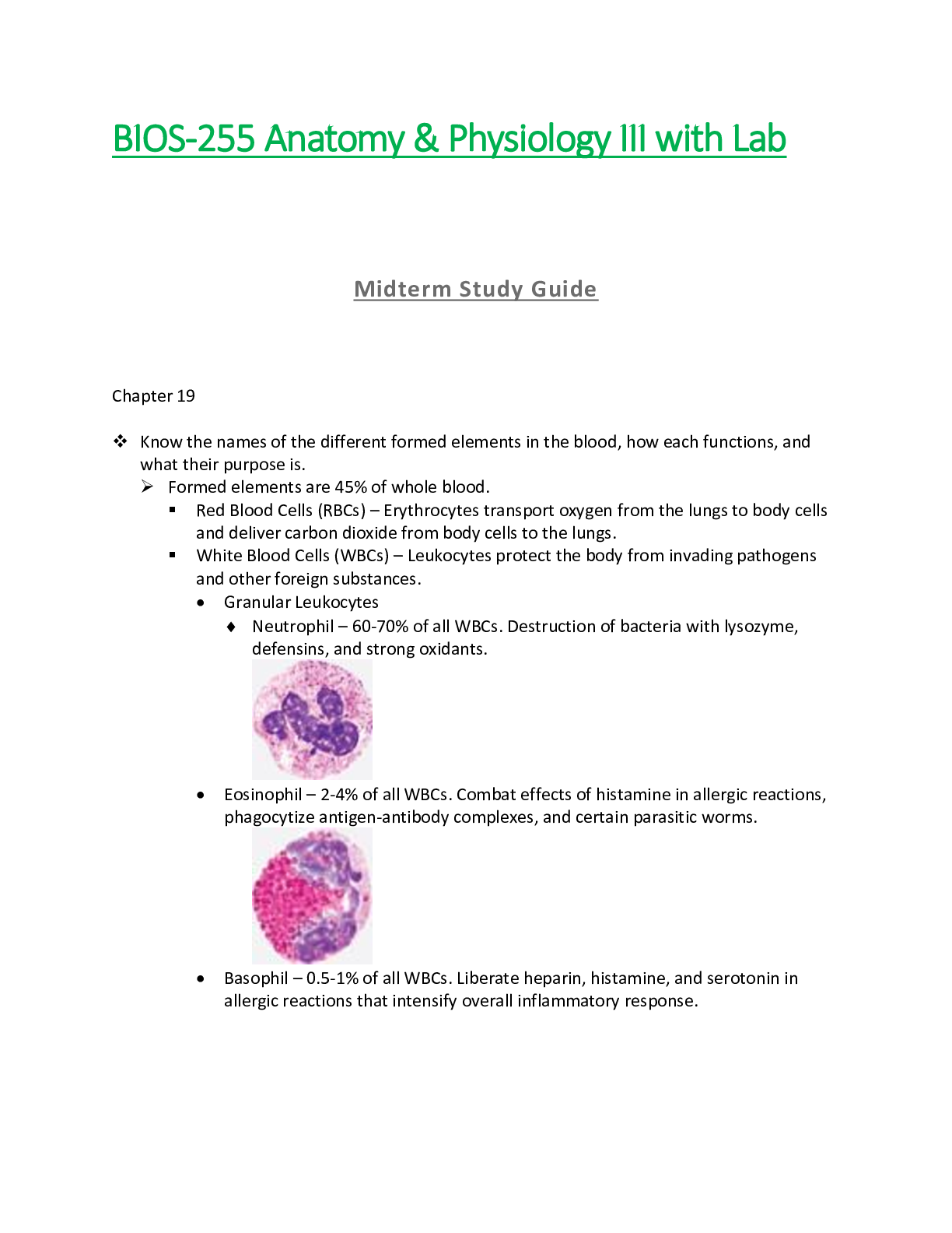 document-preview